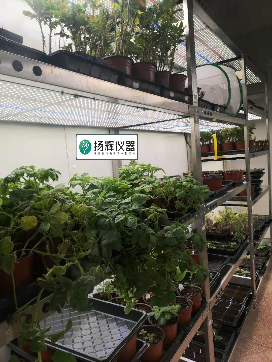 1668911332103717.jpg 气候室2.jpg